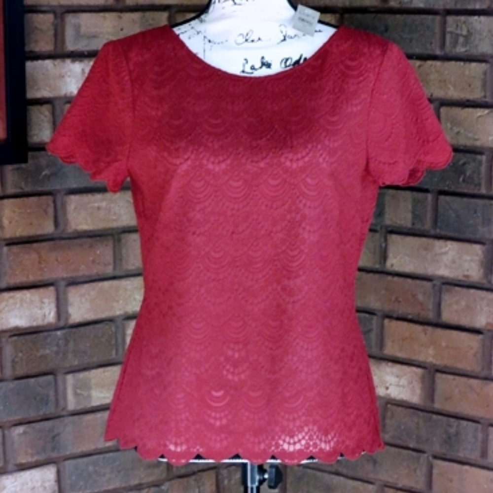 Ann Taylor LOFT Deep Red Top - Sz XS Petite - NWT